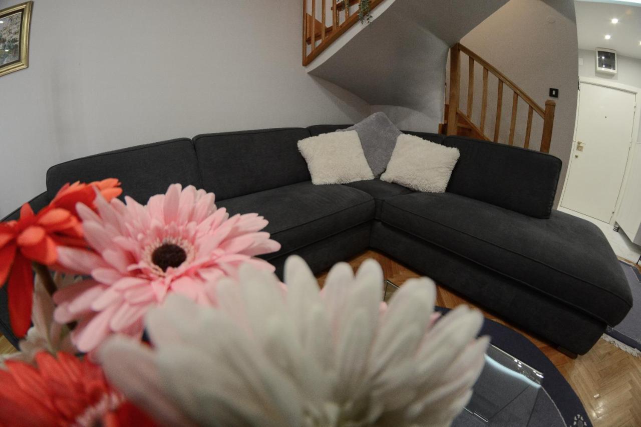 Apartment Dobraya Blue Novi Sad Eksteriør billede